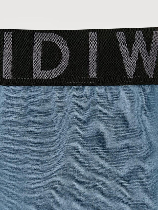 Men's underpants DIWARI PREMIUM MSH 3300, s.78,82, blue-graphite - 3