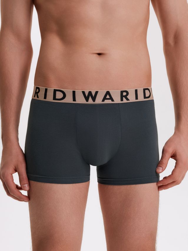 Men's underpants DIWARI PREMIUM MSH 3300, s.78,82, dark forest-beige - 2