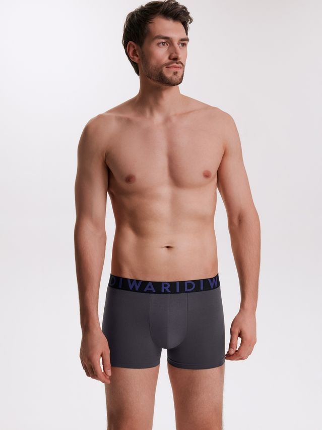 Men's underpants DIWARI PREMIUM MSH 3300, s.78,82, graphite-blue - 1