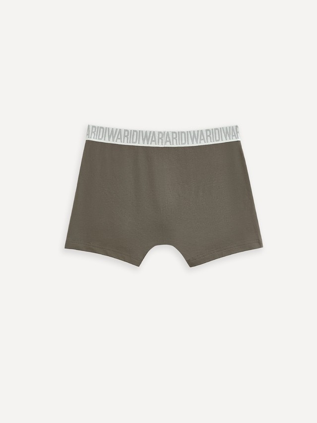 Men's underpants DIWARI PREMIUM MSH 3300, s.78,82, khaki-grey - 2
