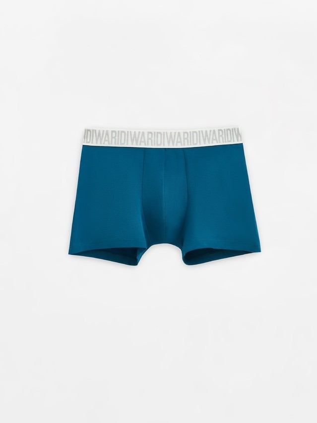 Men's underpants DIWARI PREMIUM MSH 3300, s.78,82, sea green-grey - 1