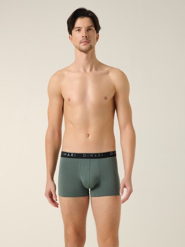 Men's underpants DIWARI PREMIUM MSH 1568, s.78,82, stormy green-silver black - 1