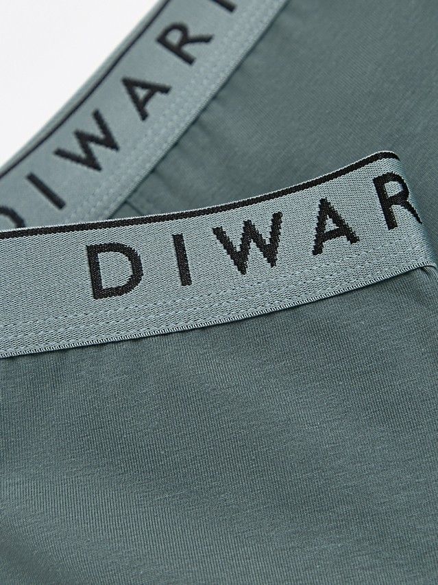 Men's underpants DIWARI PREMIUM MSH 1568, s.78,82, stormy green-silver blue - 3