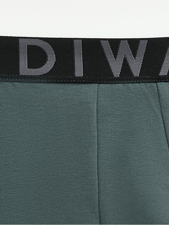 Men's underpants DIWARI PREMIUM MSH 3300, s.78,82, dark forest-graphite - 3