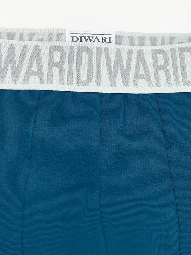 Men's underpants DIWARI PREMIUM MSH 3300, s.78,82, sea green-grey - 3
