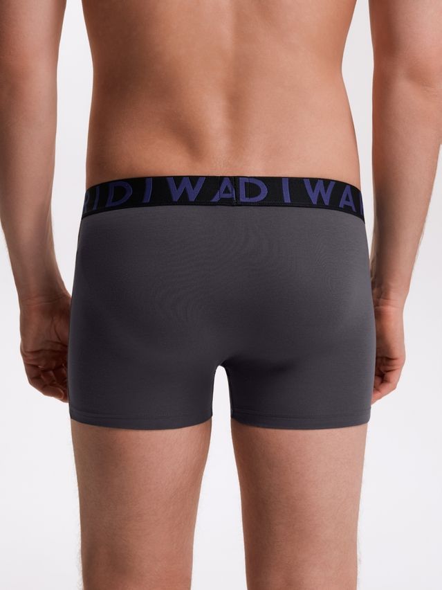 Men's underpants DIWARI PREMIUM MSH 3300, s.78,82, graphite-blue - 3