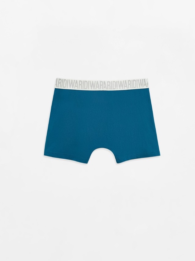 Men's underpants DIWARI PREMIUM MSH 3300, s.78,82, sea green-grey - 2