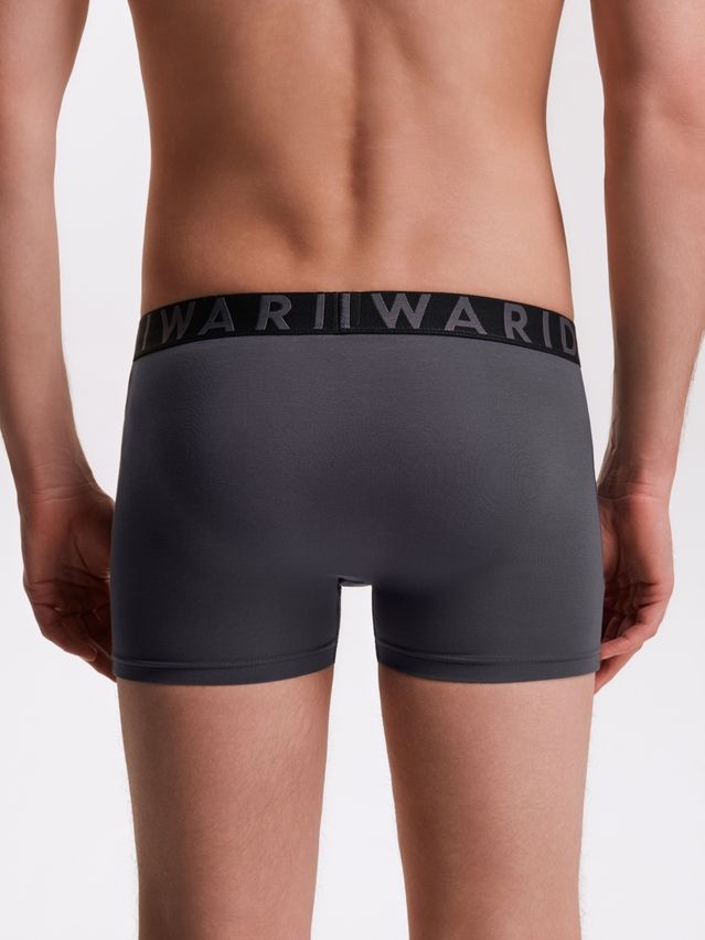 Men's underpants DIWARI PREMIUM MSH 3300, s.78,82, graphite-graphite - 3