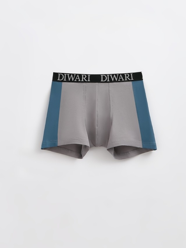 Men's underpants DIWARI BASIC MSH 2733, s.78,82, grey-grey blue - 1