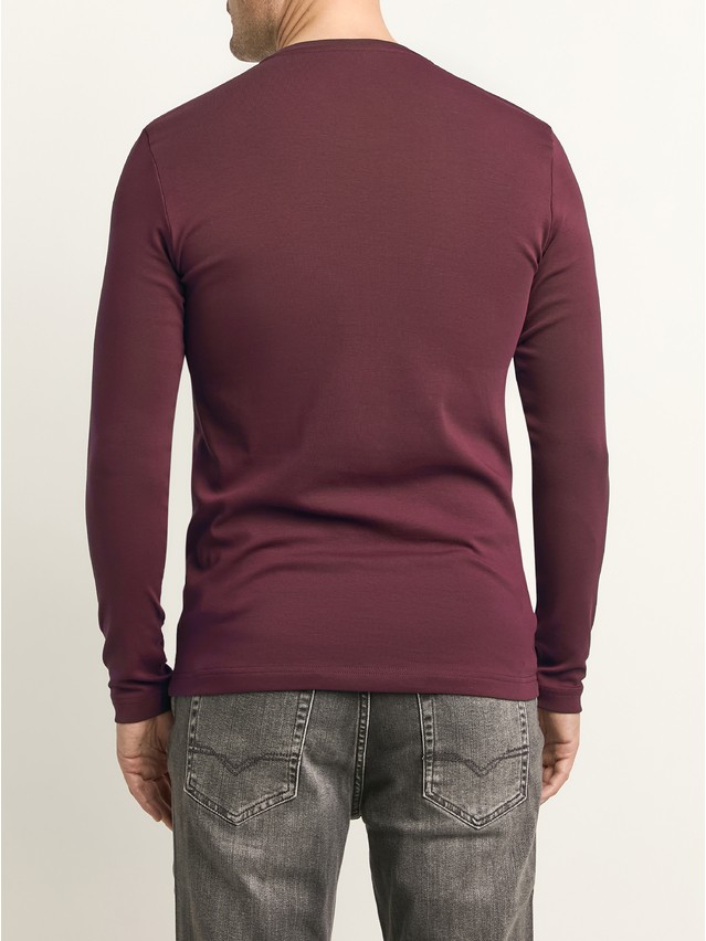 Men's polo neck shirt DIWARI BASIC MEN MD 4031, s.176,182-92, dark bordo - 2