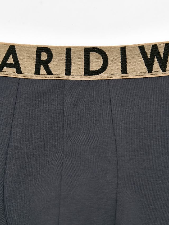 Men's underpants DIWARI PREMIUM MSH 3300, s.78,82, graphite-beige - 8