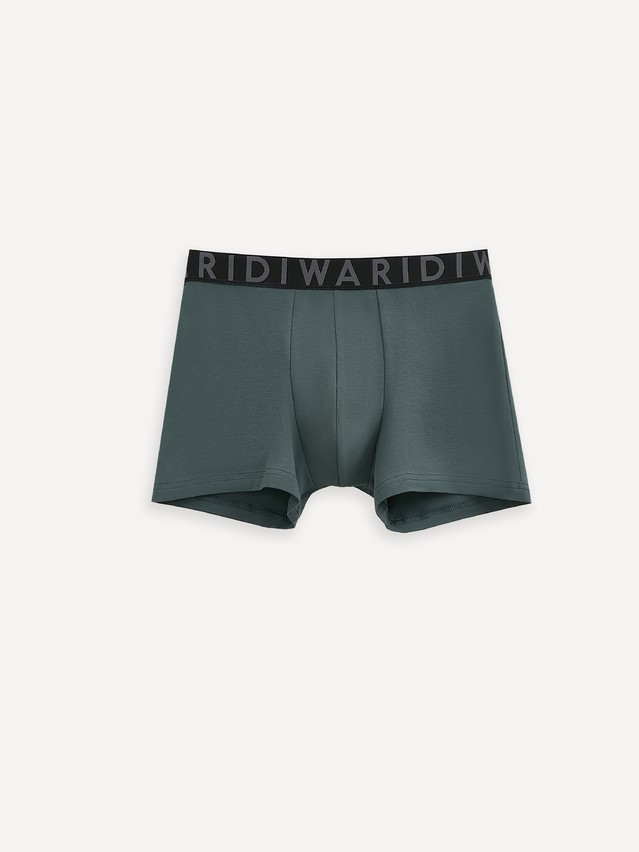 Men's underpants DIWARI PREMIUM MSH 3300, s.78,82, dark forest-graphite - 1