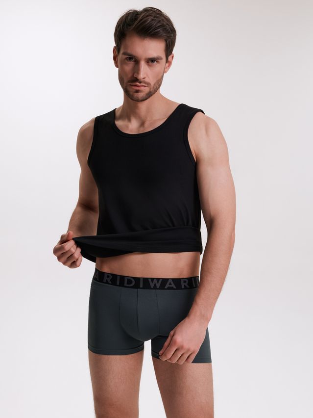 Men's underpants DIWARI PREMIUM MSH 3300, s.78,82, dark forest-graphite - 1