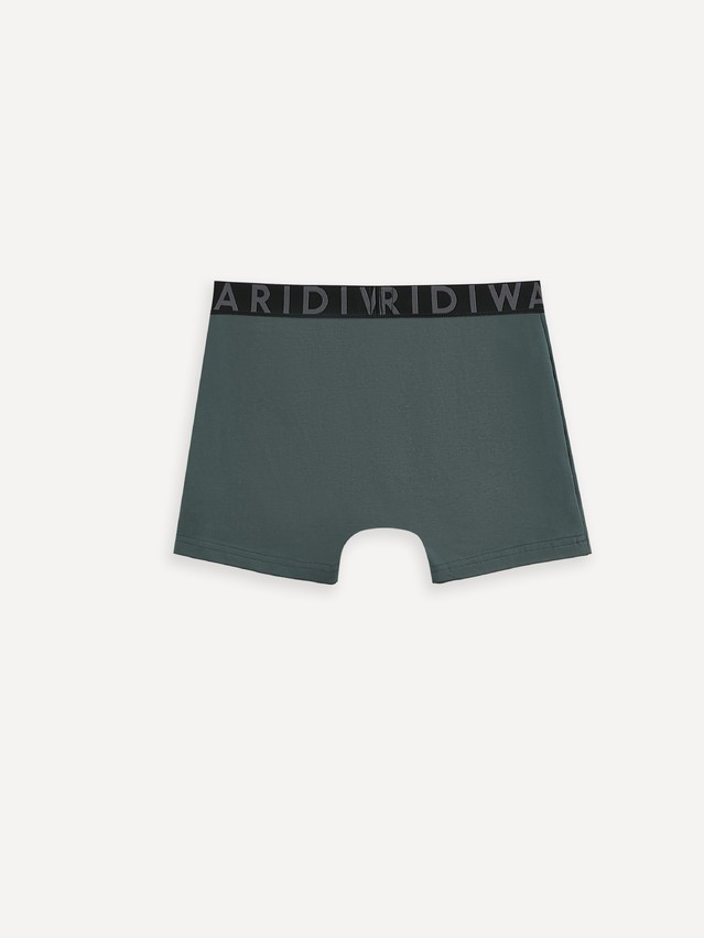 Men's underpants DIWARI PREMIUM MSH 3300, s.78,82, dark forest-graphite - 2