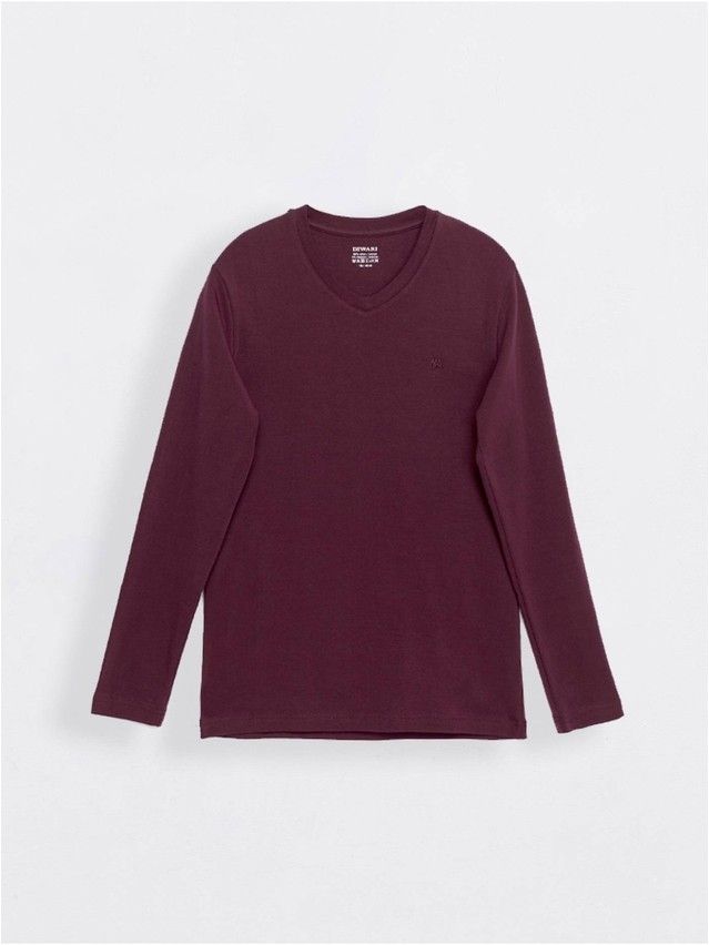 Men's polo neck shirt DiWaRi MD 696, s.170,176-100, wine-coloured - 1