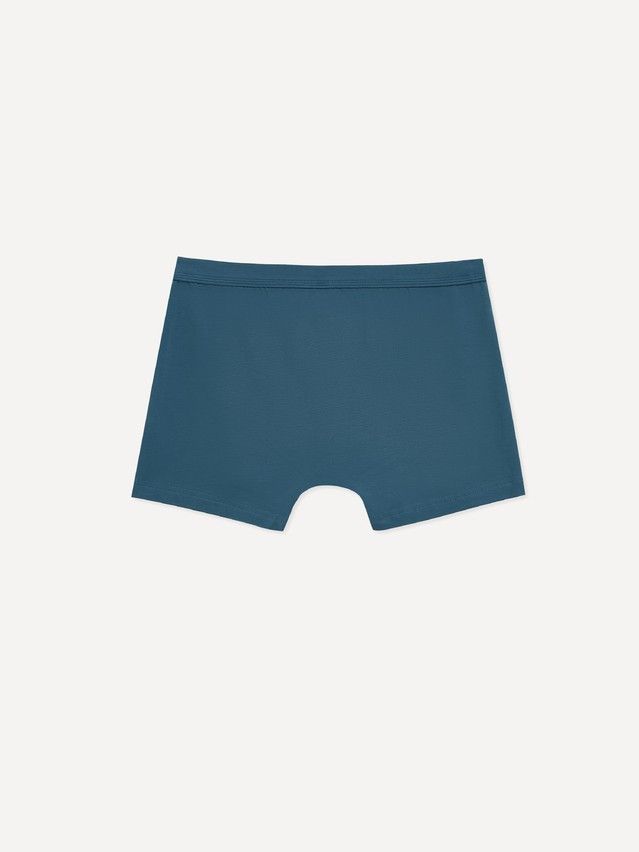 Men's underpants DIWARI PREMIUM MSH 1566, s.78,82, blue - 2