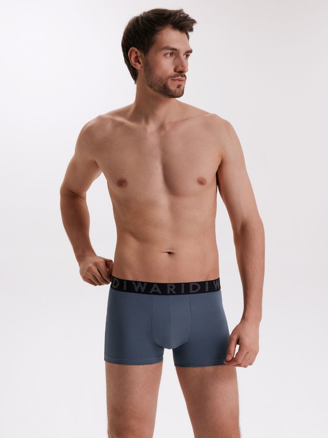 Men's underpants DIWARI PREMIUM MSH 3300, s.78,82, blue-graphite - 1