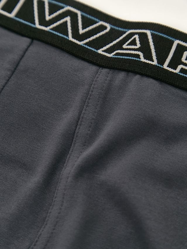 Men's underpants DIWARI PREMIUM MSH 3600, s.78,82, graphite-black/blue - 3