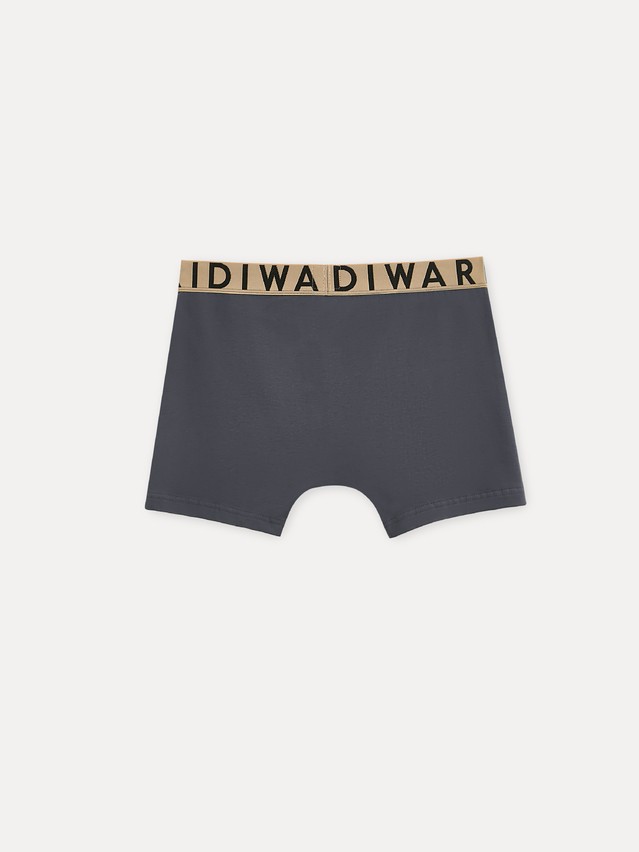 Men's underpants DIWARI PREMIUM MSH 3300, s.78,82, graphite-beige - 2