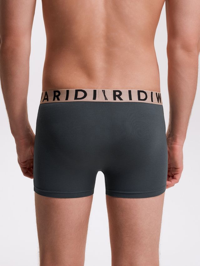 Men's underpants DIWARI PREMIUM MSH 3300, s.78,82, dark forest-beige - 3
