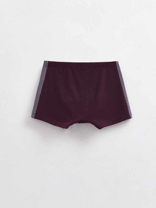 Men's underpants DiWaRi BASIC MEN MSH 3119, s.78,82, dark bordo-grey - 3