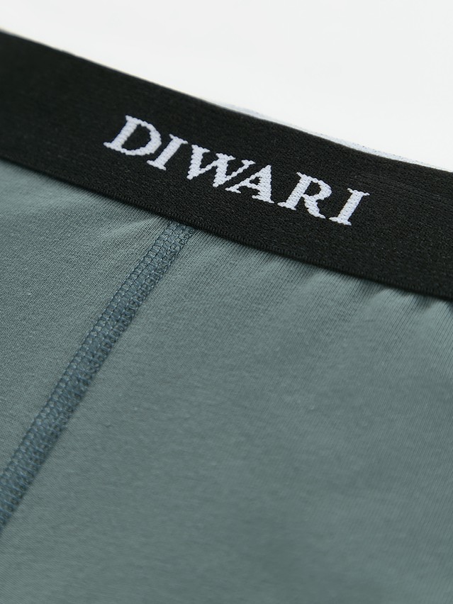 Men's underpants DIWARI BASIC MEN MSH 2147, s.78,82, stormy green - 3