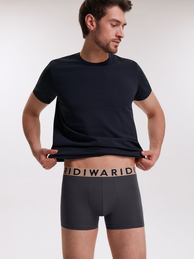 Men's underpants DIWARI PREMIUM MSH 3300, s.78,82, graphite-beige - 1