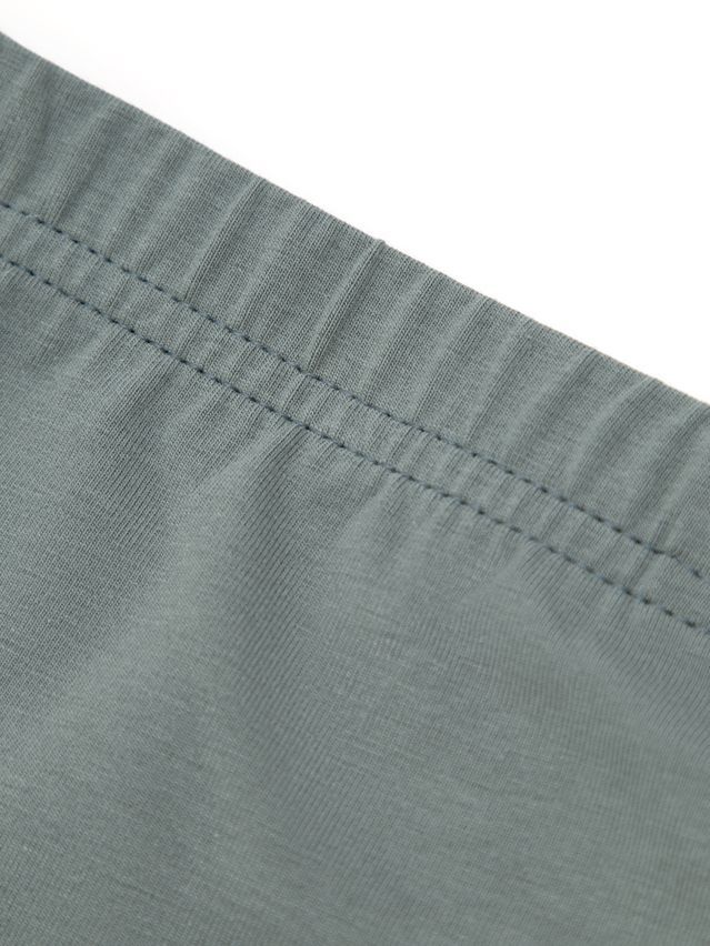 Men's underpants DIWARI BASIC MEN MSL 2128, s.78,82, stormy green - 2