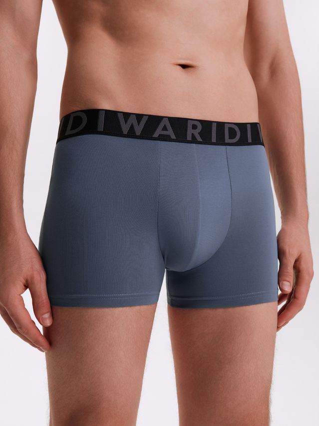 Men's underpants DIWARI PREMIUM MSH 3300, s.78,82, blue-graphite - 2