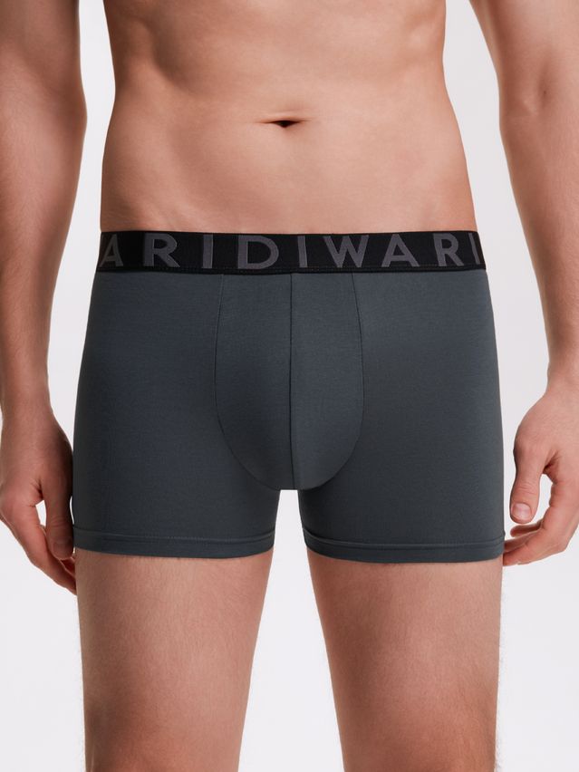 Men's underpants DIWARI PREMIUM MSH 3300, s.78,82, dark forest-graphite - 2