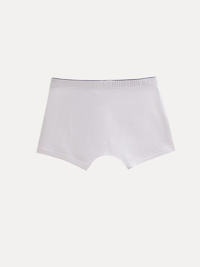 Men's underpants DIWARI PREMIUM MSH 760.1, s.78,82, light grey-dark blue - 2