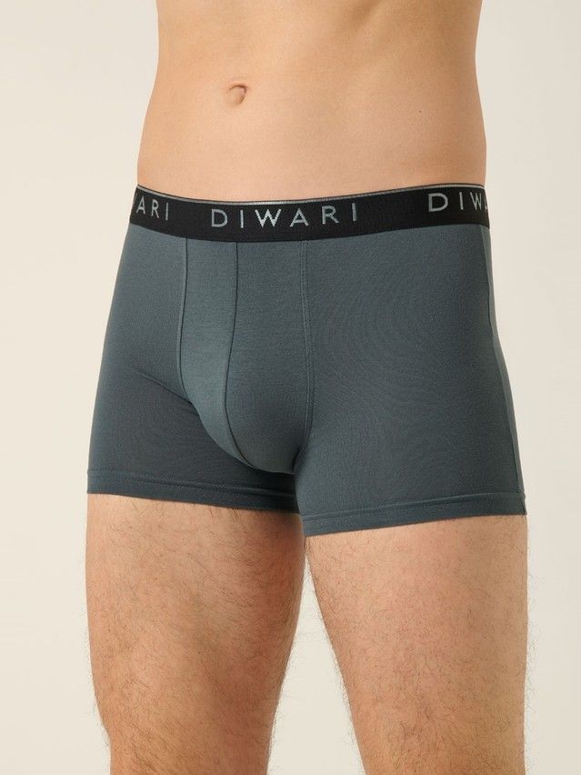 Men's underpants DIWARI PREMIUM MSH 1568, s.78,82, dark forest-silver black - 4