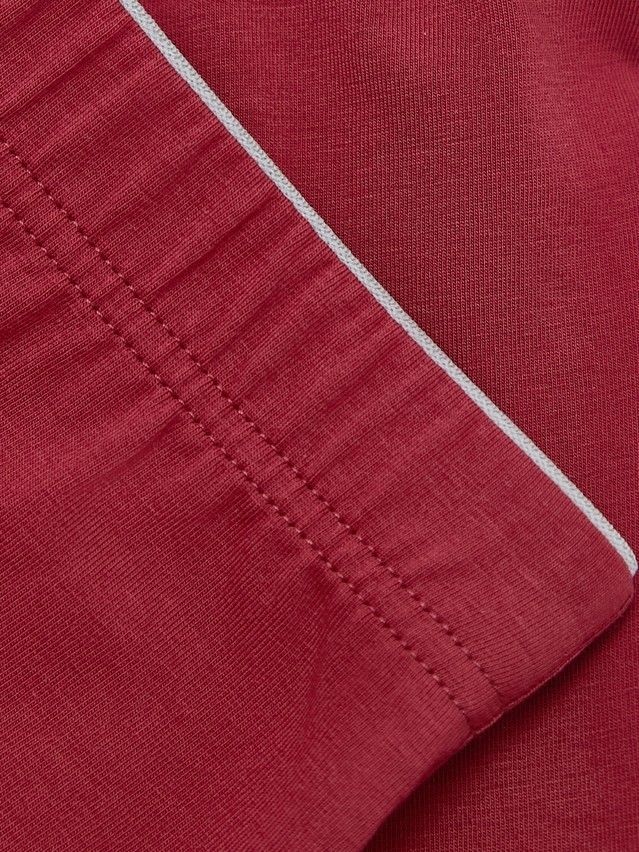 Men's underpants DIWARI PREMIUM MSH 760.1, s.78,82, bordo-light grey - 4