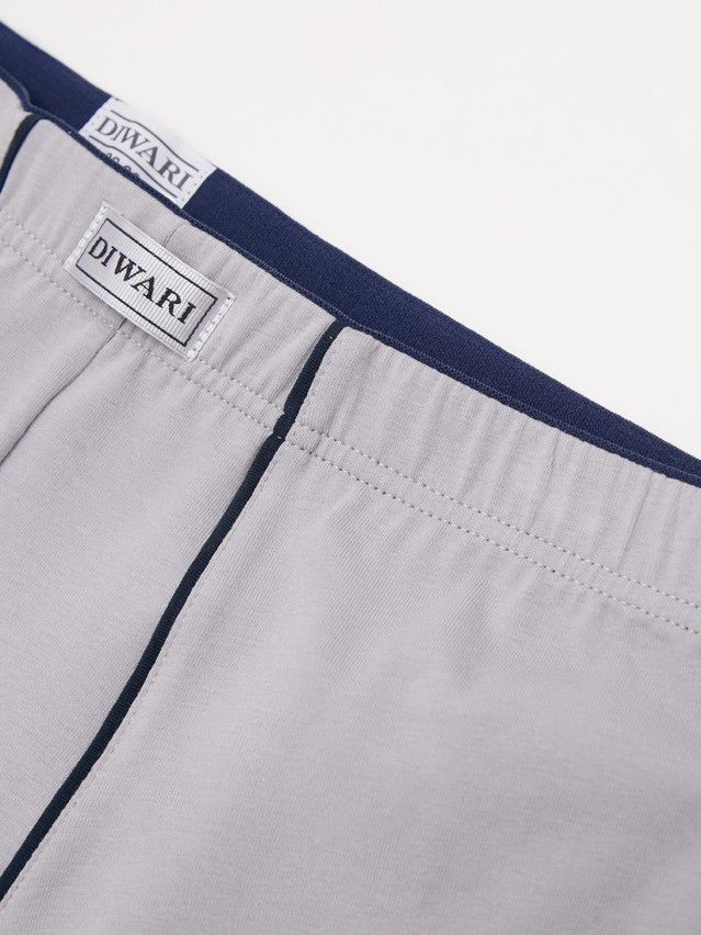 Men's underpants DIWARI PREMIUM MSH 760.1, s.78,82, light grey-dark blue - 3