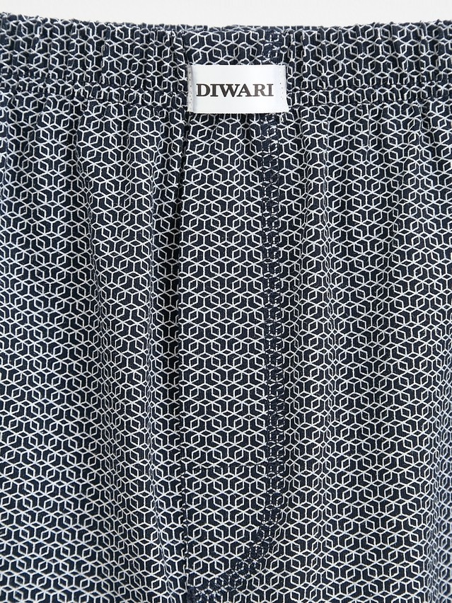 Men's underpants DIWARI BASIC MEN MBX 010, s.78,82, blue pattern - 3
