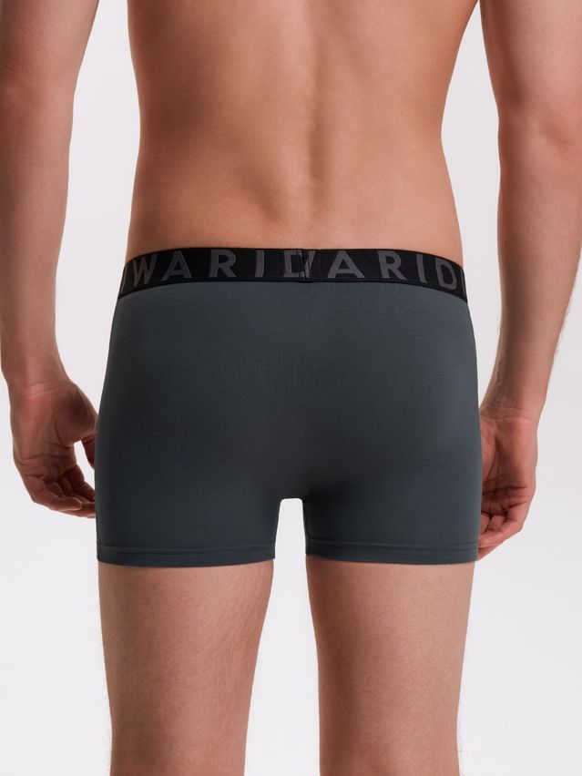 Men's underpants DIWARI PREMIUM MSH 3300, s.78,82, dark forest-graphite - 3