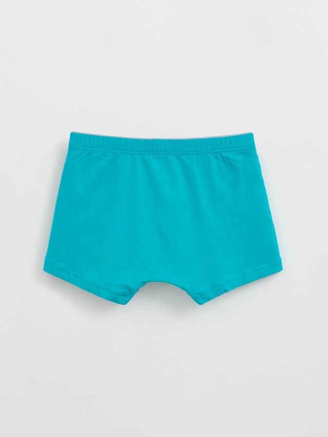 Men's underpants DIWARI BASIC MSH 2744, s.78,82, emerald - 2