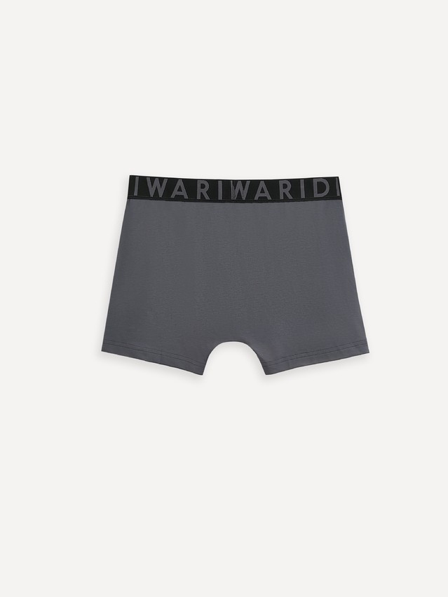 Men's underpants DIWARI PREMIUM MSH 3300, s.78,82, graphite-graphite - 2