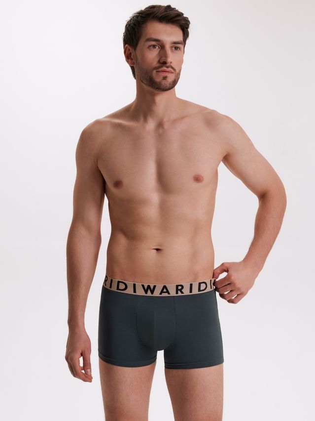 Men's underpants DIWARI PREMIUM MSH 3300, s.78,82, dark forest-beige - 1