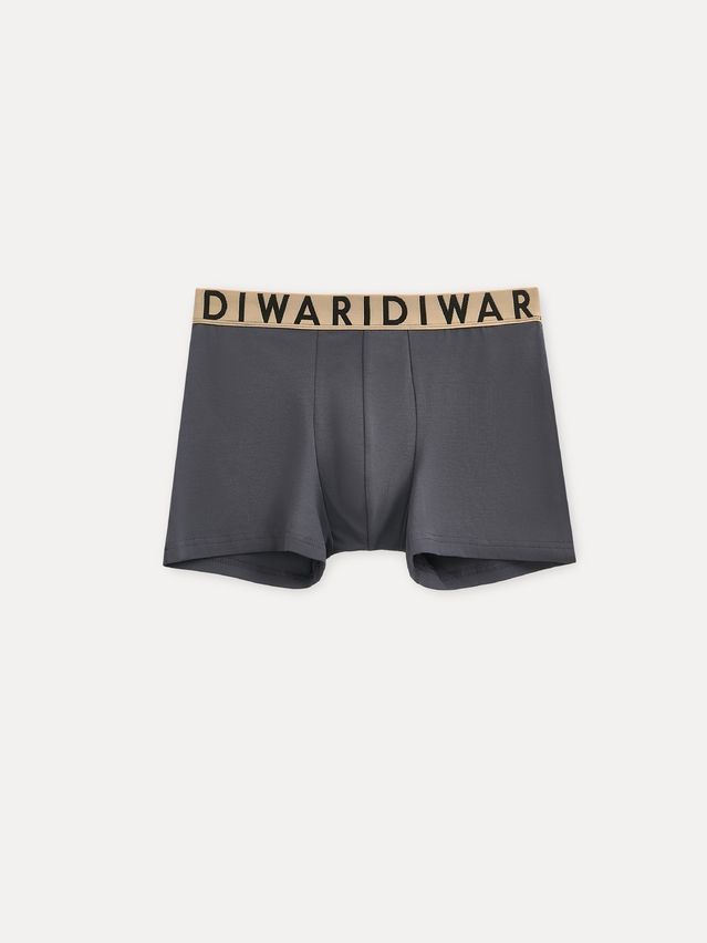 Men's underpants DIWARI PREMIUM MSH 3300, s.78,82, graphite-beige - 5
