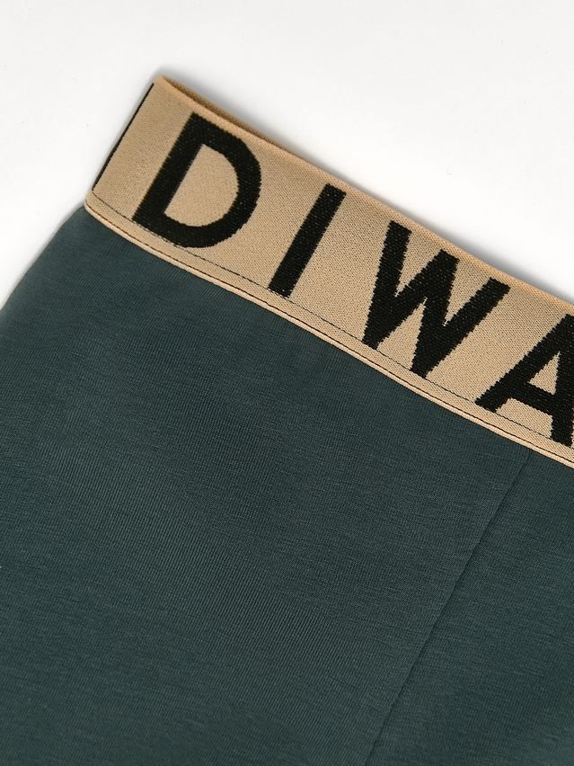 Men's underpants DIWARI PREMIUM MSH 3300, s.78,82, dark forest-beige - 8