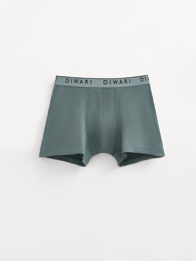 Men's underpants DIWARI PREMIUM MSH 1568, s.78,82, stormy green-silver blue - 1