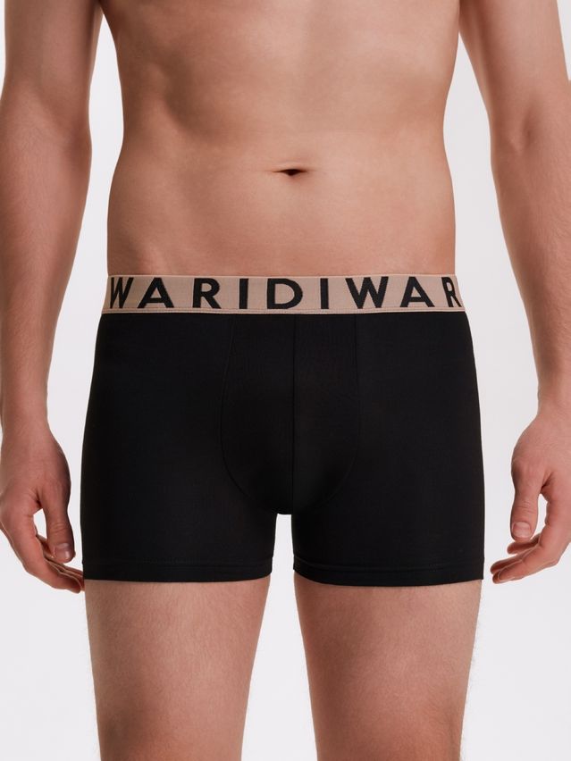 Men's underpants DIWARI PREMIUM MSH 3300, s.78,82, black-beige - 2