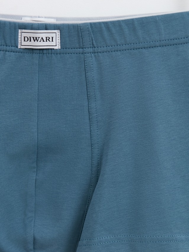 Men's underpants DIWARI BASIC MSH 2744, s.78,82, grey-blue - 3