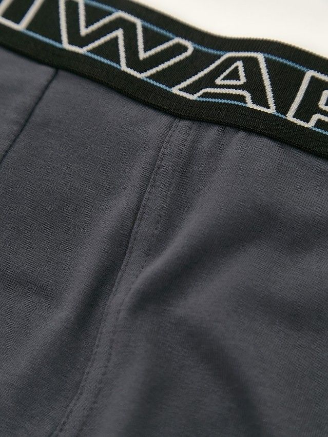 Men's underpants DIWARI PREMIUM MSH 3600, s.78,82, graphite-black/blue - 3