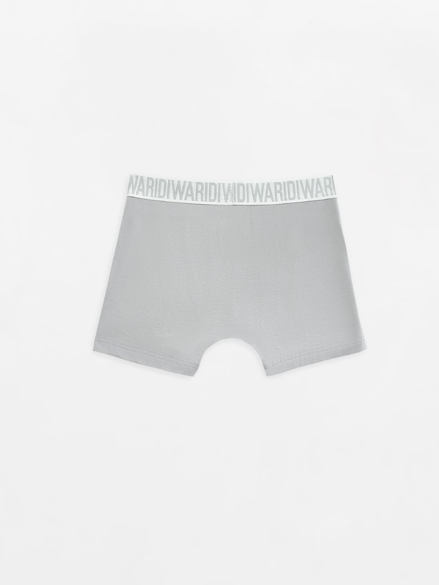 Men's underpants DIWARI PREMIUM MSH 3300, s.78,82, light grey-grey - 2