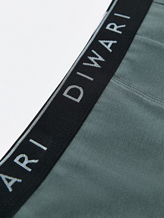 Men's underpants DIWARI PREMIUM MSH 1568, s.78,82, stormy green-silver black - 6