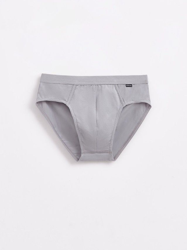 Men's underpants DiWaRi PREMIUM MSL 1567, s.110,114, grey - 1