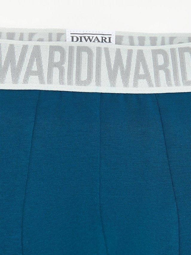 Men's underpants DIWARI PREMIUM MSH 3300, s.78,82, sea green-grey - 3