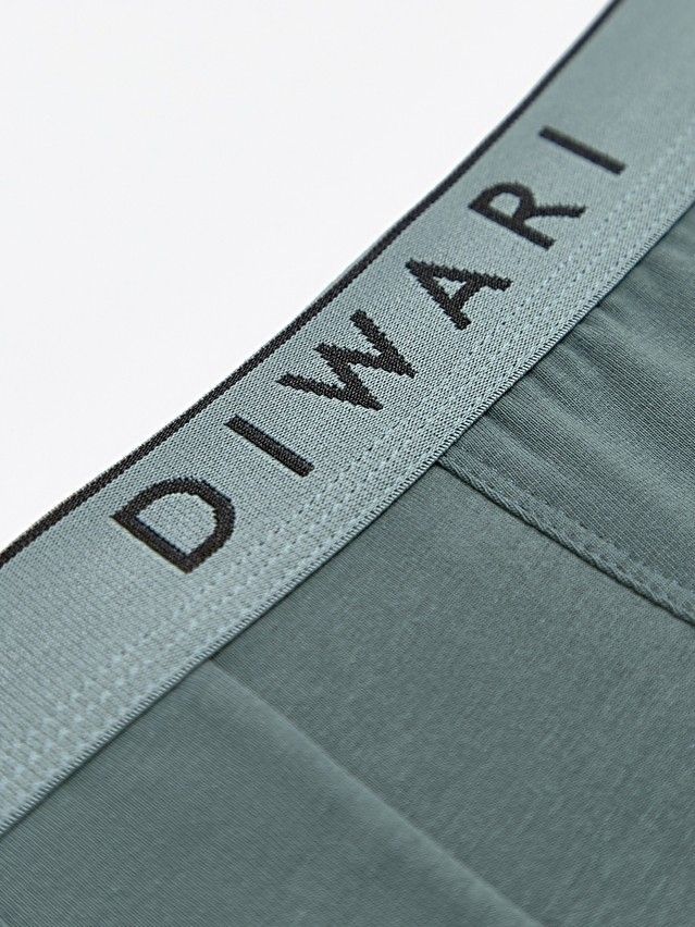 Men's underpants DIWARI PREMIUM MSH 1568, s.78,82, stormy green-silver blue - 4
